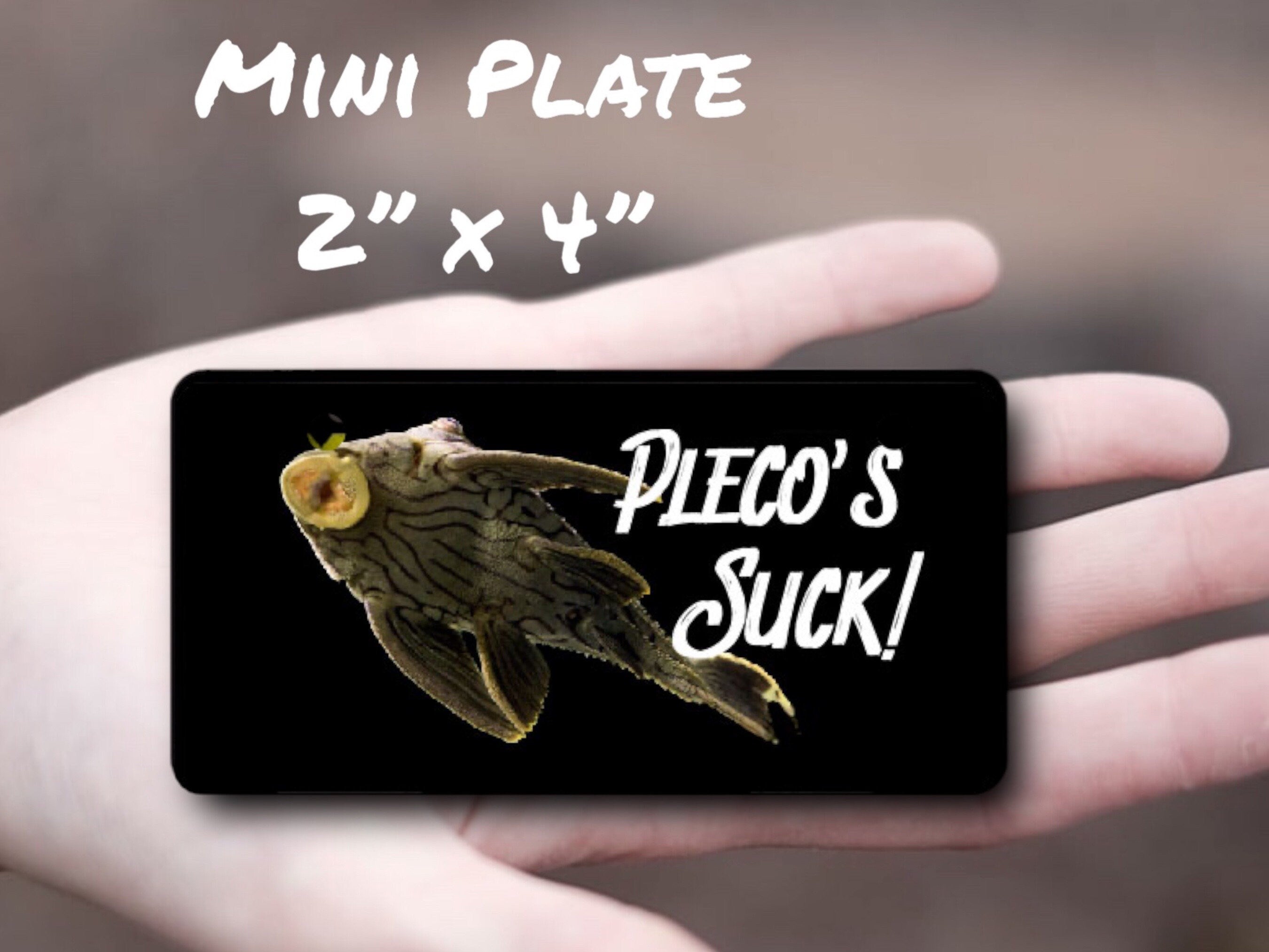 Pleco’s Suck License Plate - Personalized Car Tag - Sassy Quote - Pet L Cat Fish Room door sign - Funny Gag Gift - Your Name - Plecostomus