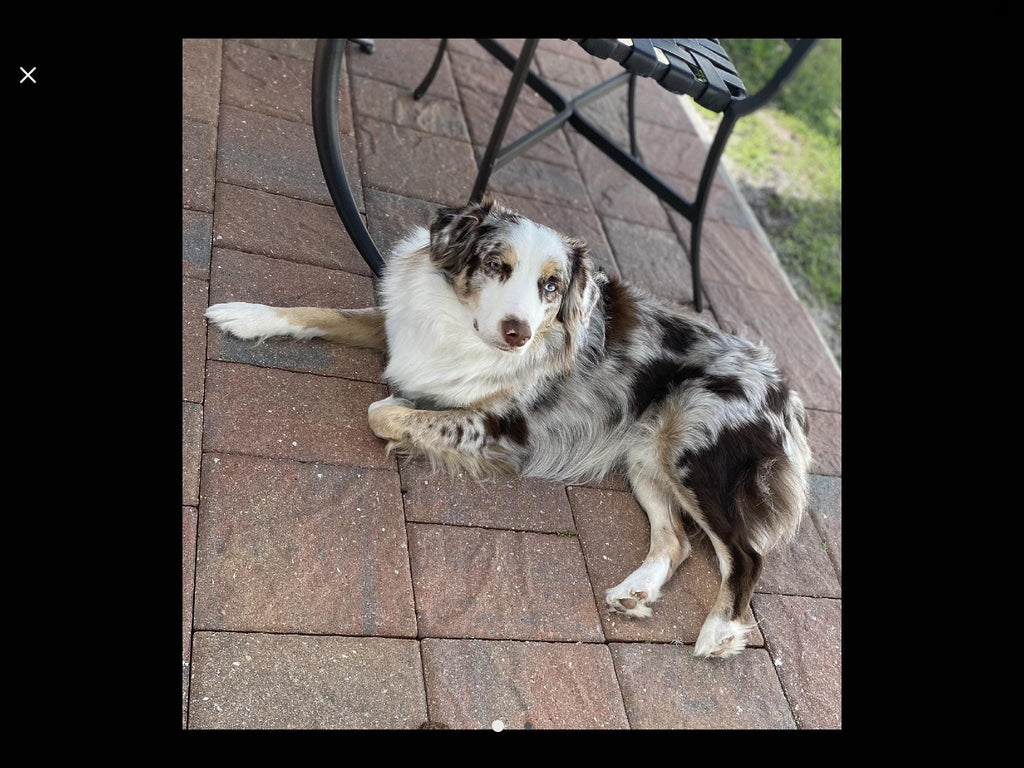 Aussie Mousepad - Blue Merle Australian Shepherd puppy - Office Desk Accessories - Dog Lover Gifts - Personalized, add a Name - Your Text