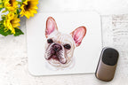 French bull dog Car Accessories - Frenchie pet lover Gift set - Personalized License Plate, Coasters - Pet Memorial - add a name, your text