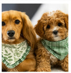 Moss and Meadow pet bandana