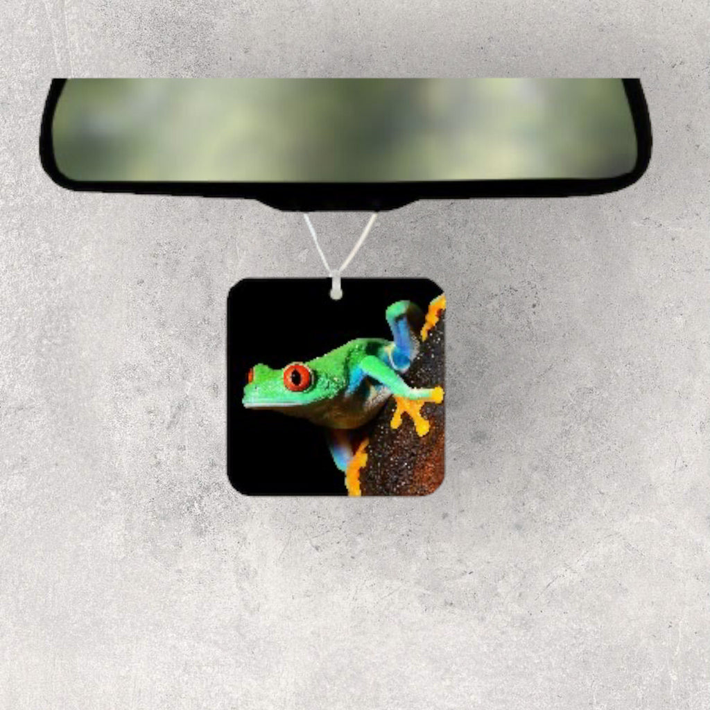Tree Frog Car Accessories - Red Eye Rainforest Decor - License Plate, Drink Coasters, Towel, Air Freshener - Birthday, Thank you gift