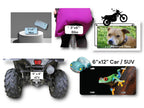 Fish On License Plate - Fishing Cabin, Lodge Decor - Metal Wall Hanging - Bar, Man Cave - ATV, Motorcycle, Bike, Mini Plate