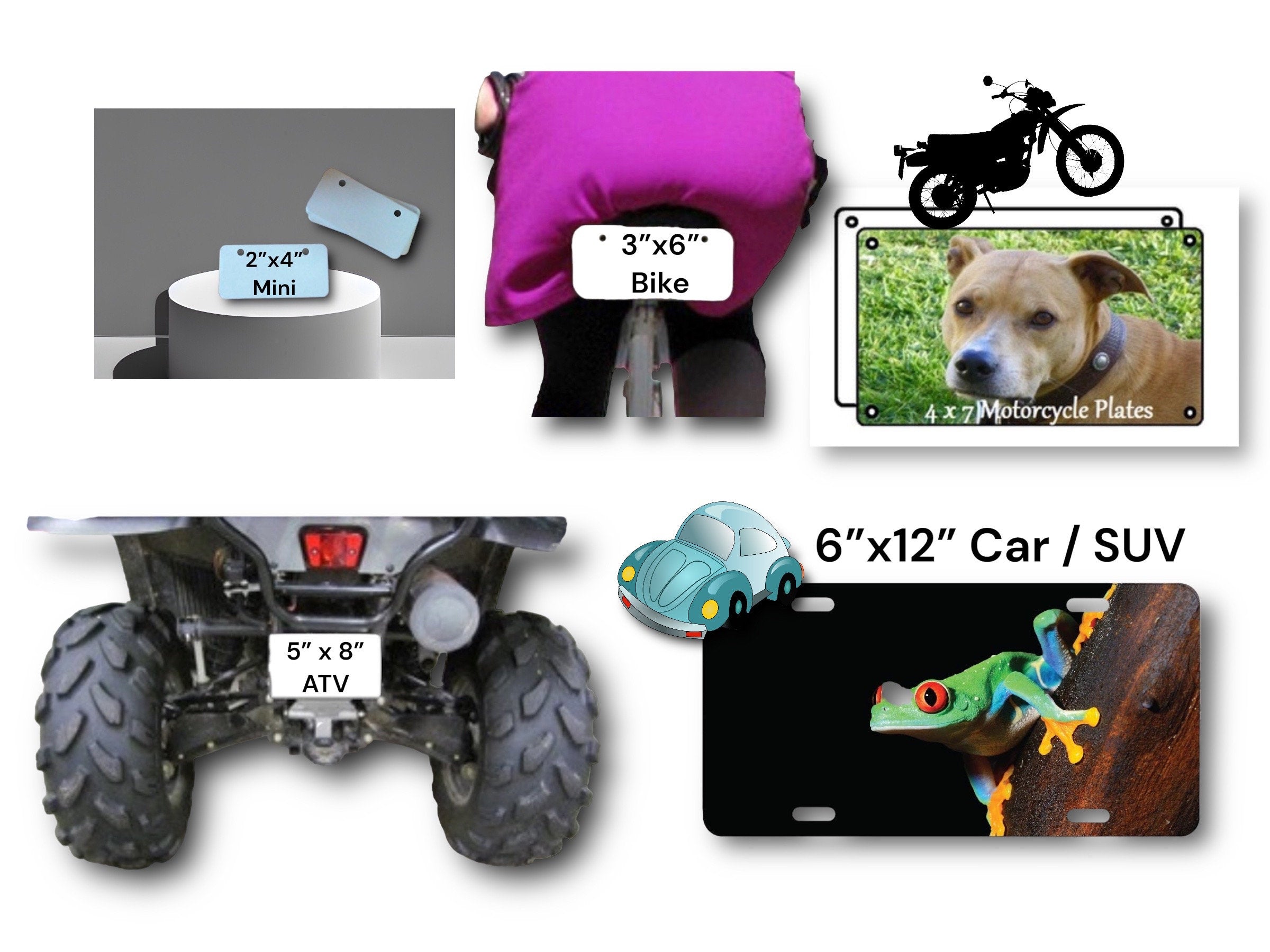Fish On License Plate - Fishing Cabin, Lodge Decor - Metal Wall Hanging - Bar, Man Cave - ATV, Motorcycle, Bike, Mini Plate