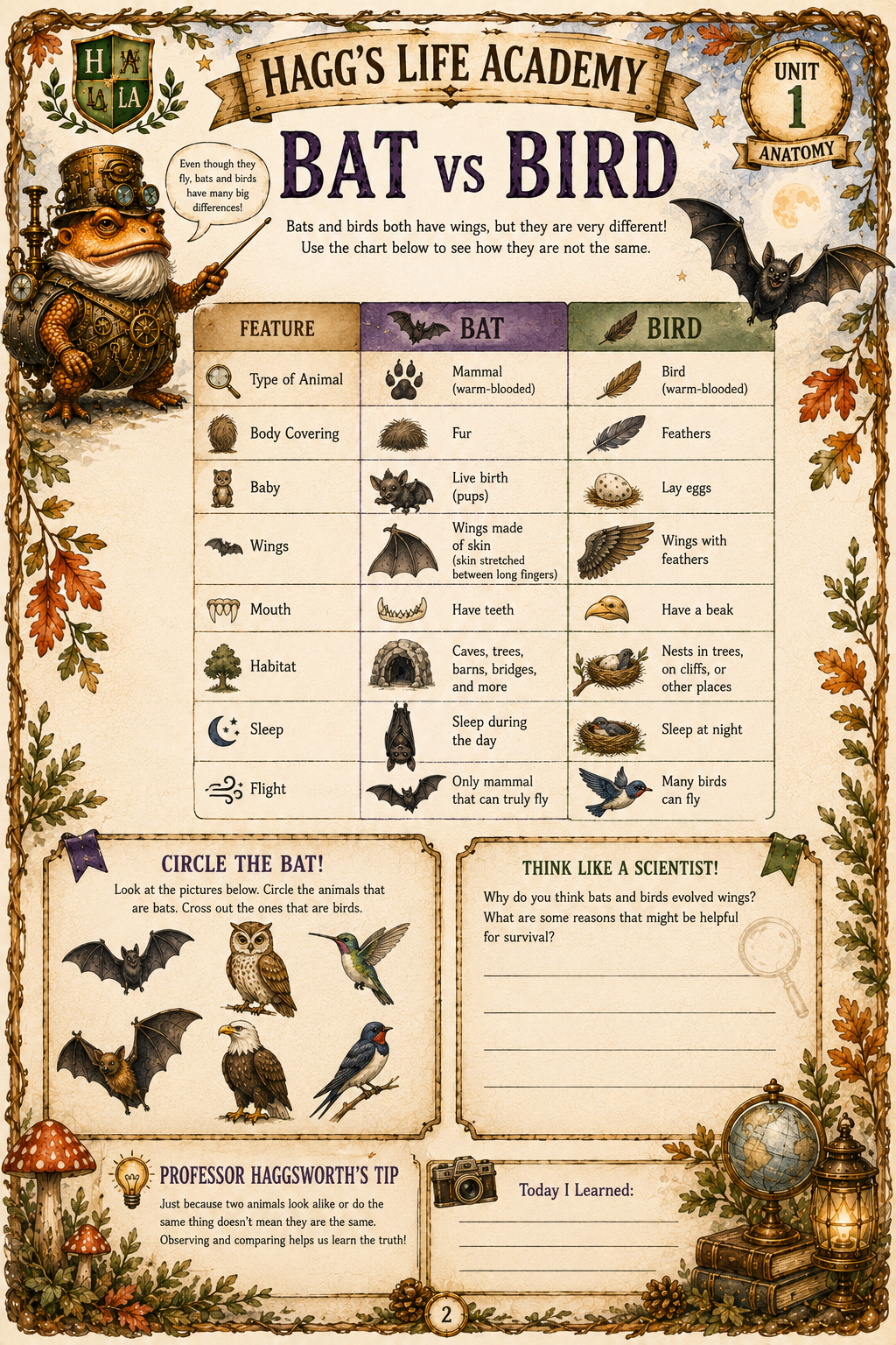 October Exploration - Hagg’s Life Academy