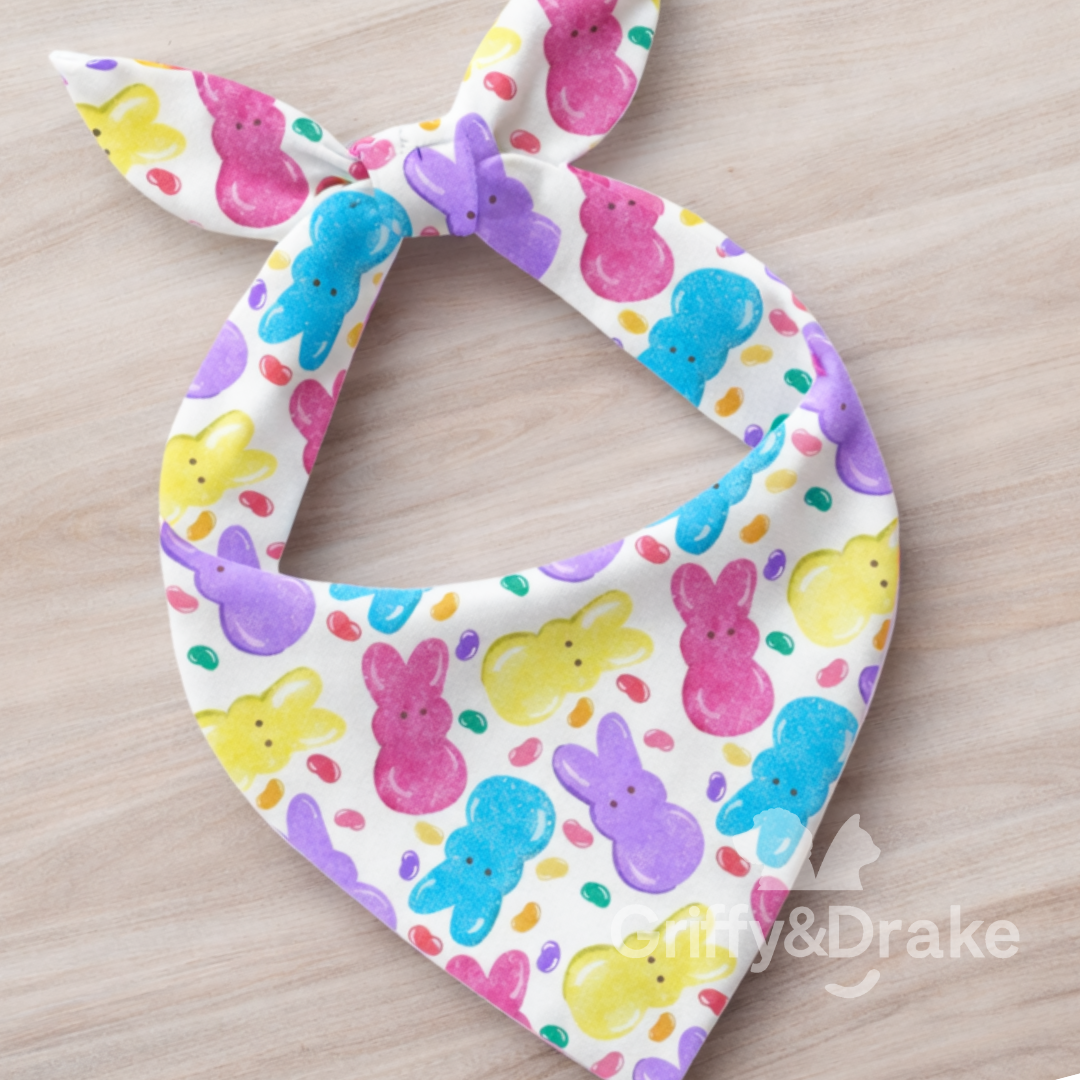 Jellybean Jubilee pet bandana