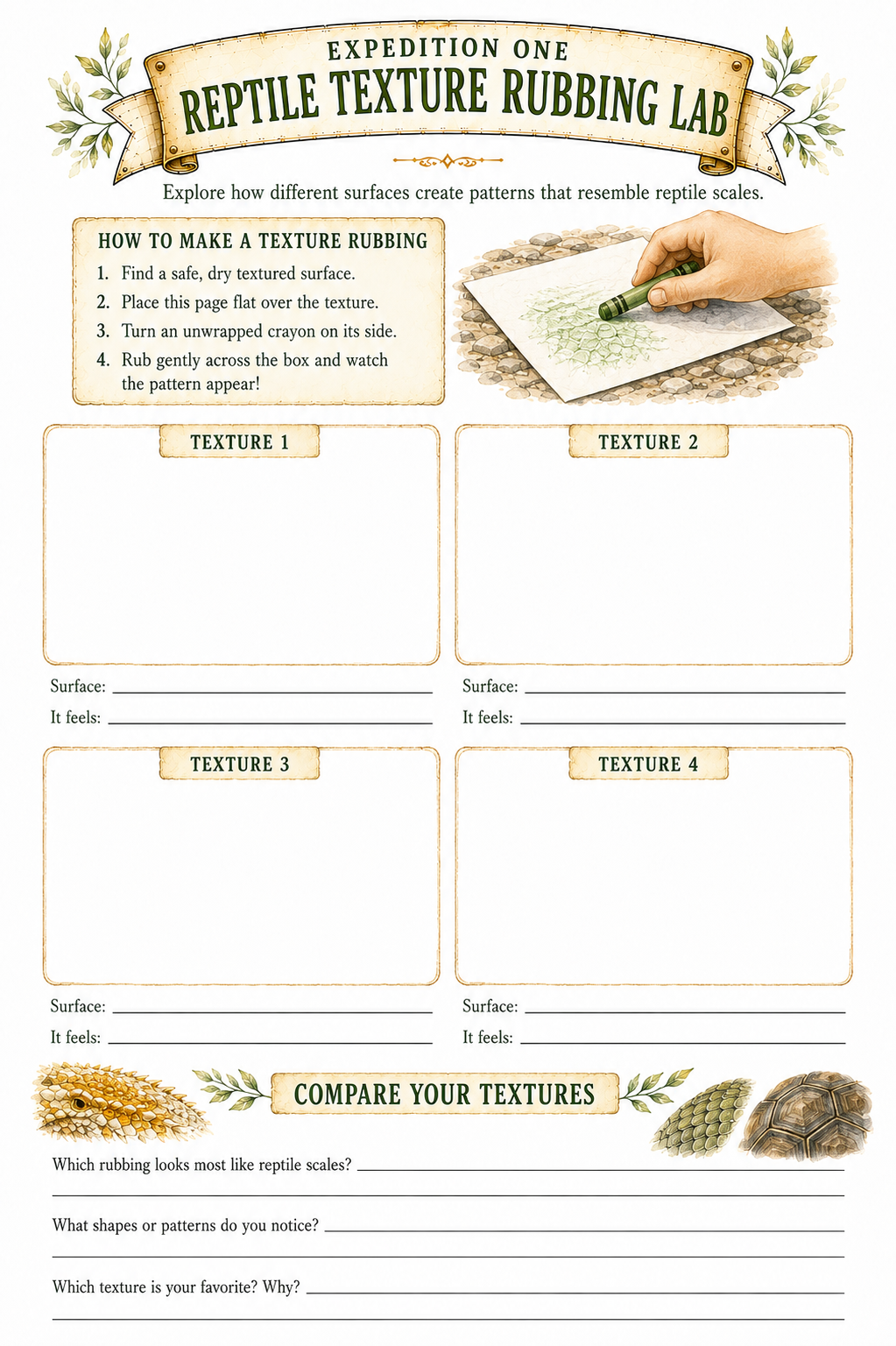 Worksheet in Amazing Reptiles, of different texture rubbings.