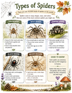 October Exploration - Hagg’s Life Academy