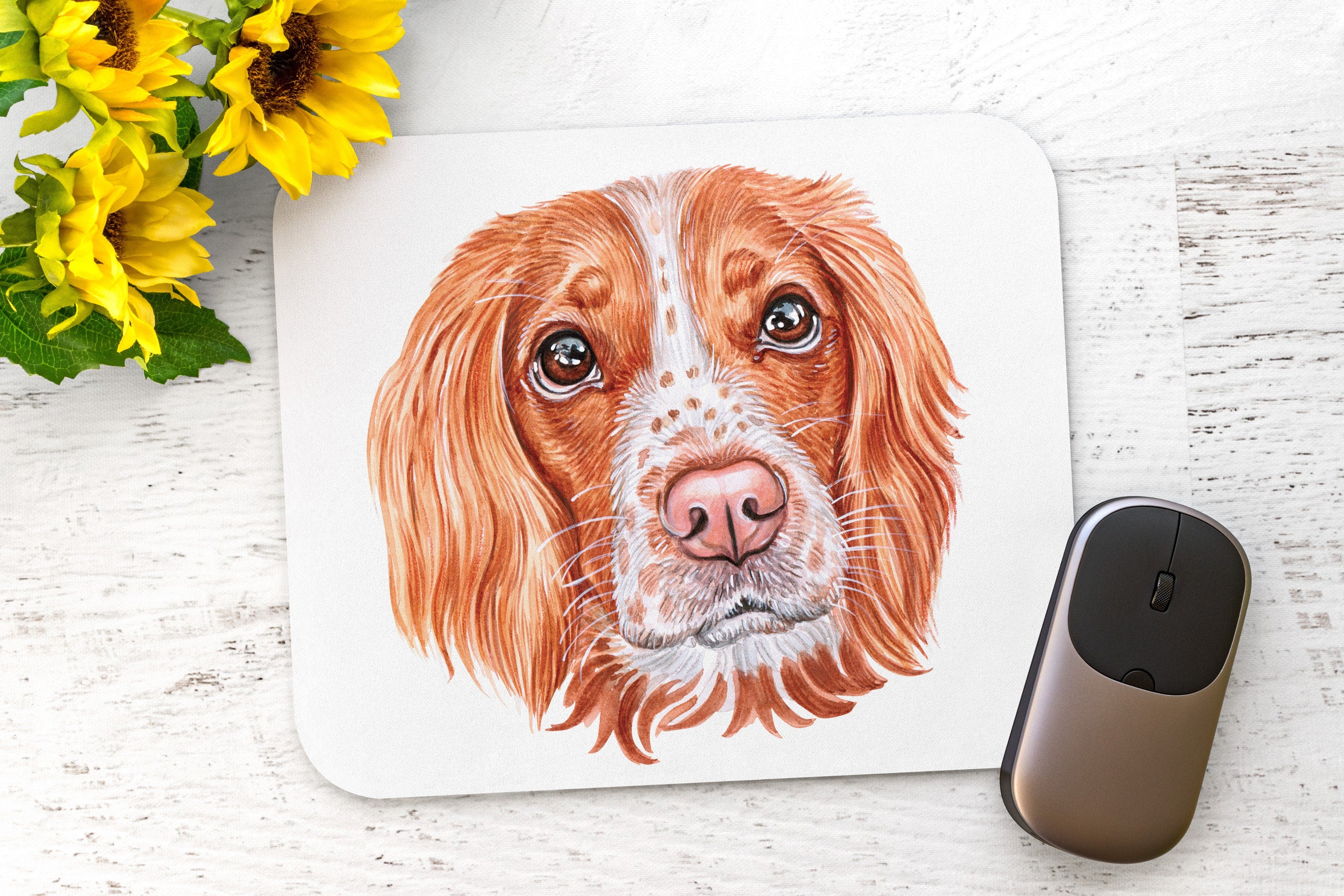 Springer Spaniel Puppy Car Accessories - Personalized License Plate - Sporting Bird Dog Lover Gifts - Pet Memorial - Dog Breeds Office Decor
