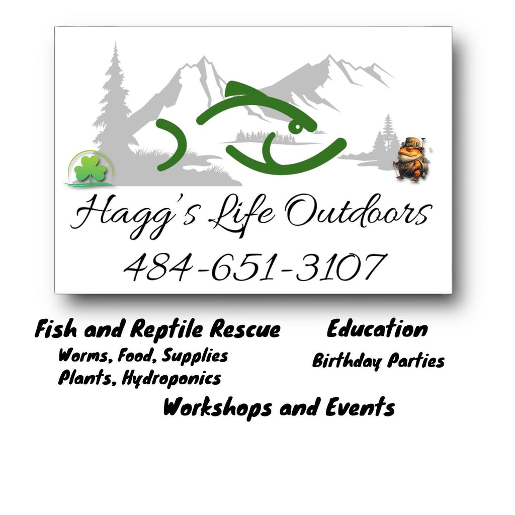 French bull dog Car Accessories - Frenchie pet lover Gift set - Personalized License Plate, Coasters - Pet Memorial - add a name, your text