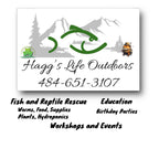 French bull dog Car Accessories - Frenchie pet lover Gift set - Personalized License Plate, Coasters - Pet Memorial - add a name, your text