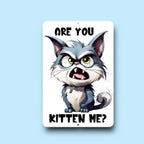 Sarcastic Cat Spoof Kitten Sign - Metal Wall Art - funny gag gift - Cat Lover decor - Indoor Outdoor - Are you Kidding Me? Rescue TNR