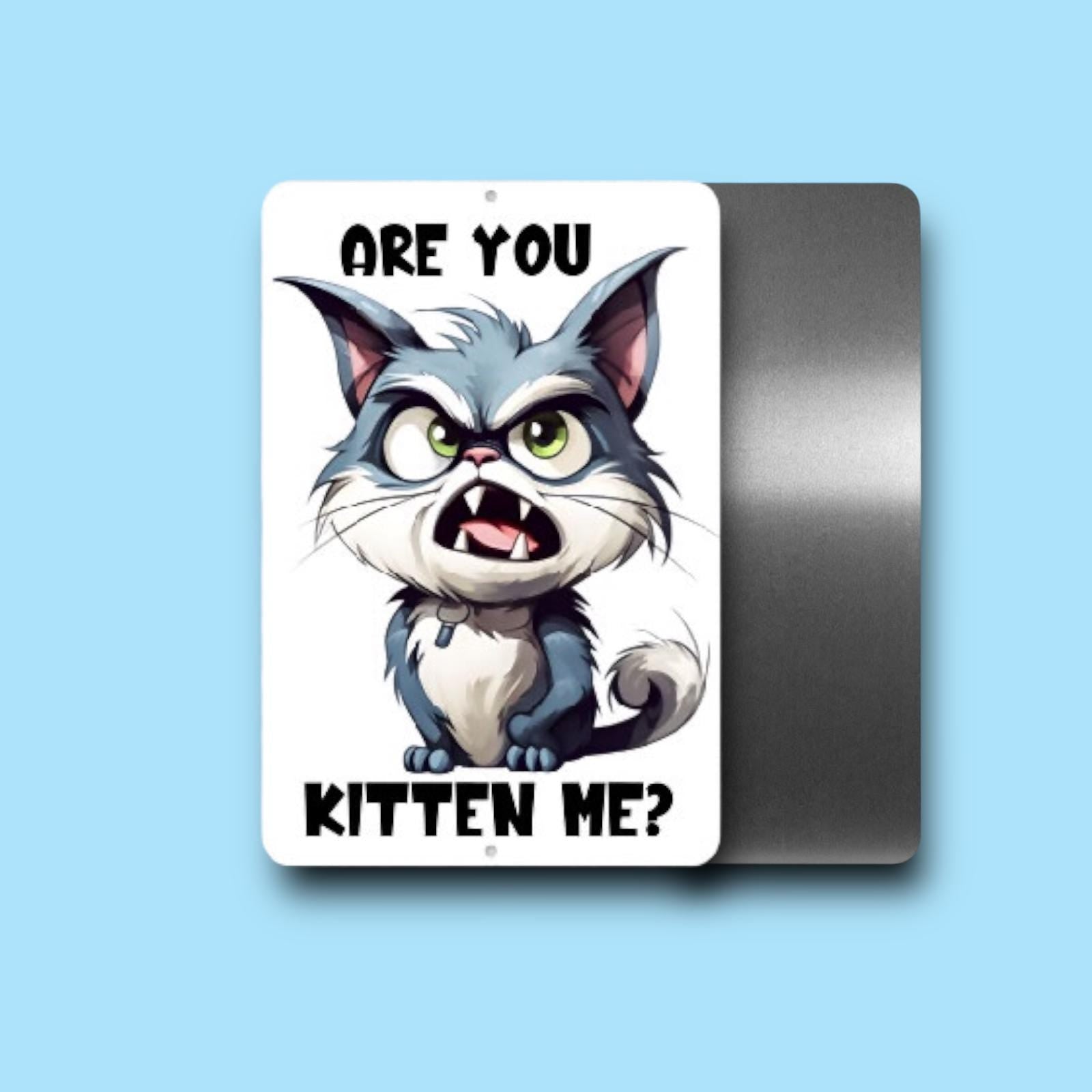 Sarcastic Cat Spoof Kitten Sign - Metal Wall Art - funny gag gift - Cat Lover decor - Indoor Outdoor - Are you Kidding Me? Rescue TNR