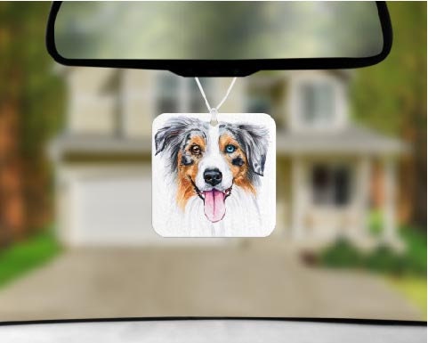 Aussie Car Accessories - Blue Merle Australian Shepherd puppy - Dog Lover Gifts - Personalized License Plate, Coasters - Pet Memorial